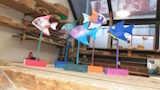 IMG-20250307-WA0005.jpg